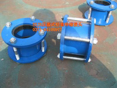 ���S��SSJB���wʽ��s���^������(bi��o)��(zh��n)